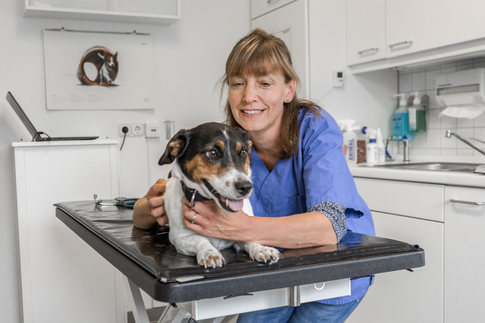 Tierarzt Friedrichstadt Silvia Saß